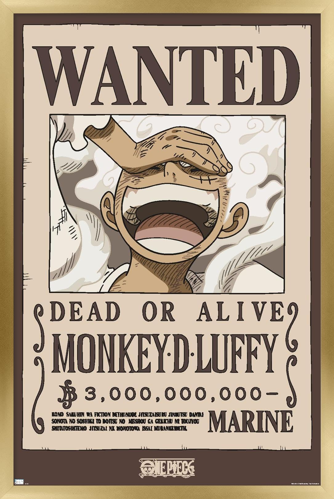 Amazon.com: Trends International One Piece - Monkey D Luffy